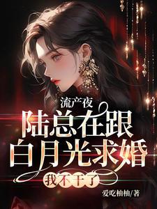 流产夜，陆总在跟白月光求婚，我不干了By{author}