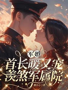 军婚首长暖又宠，羡煞军属院By{author}