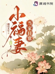 小福妻当家日常By{author}