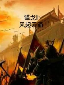 锋戈之风起云涌无错小说